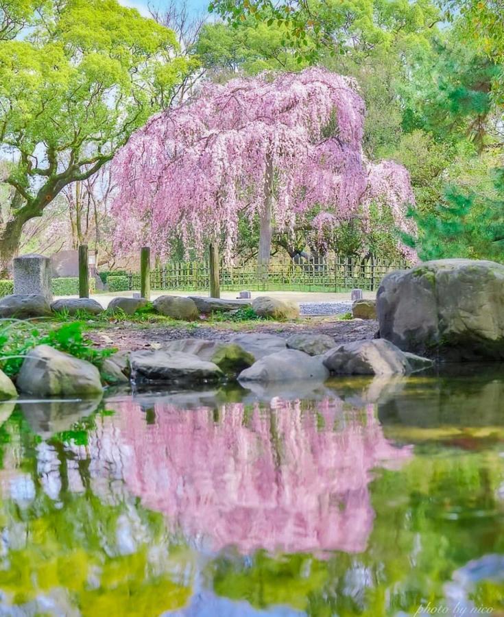 Tsurui Goshonishi 鶴居御所西 Villa Kyoto Buitenkant foto